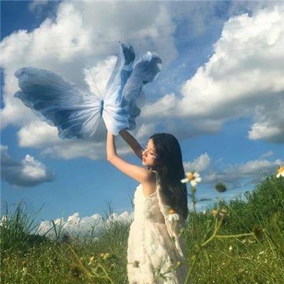 圣诞狗狗救援