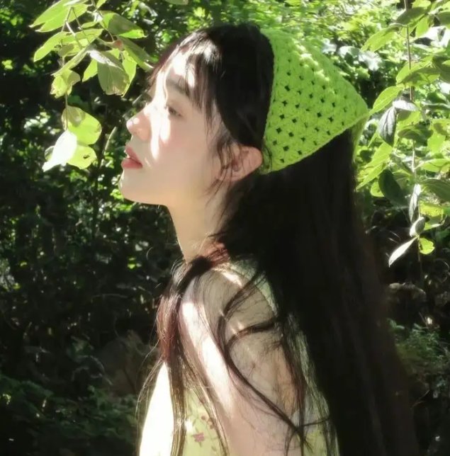 傻妹从军